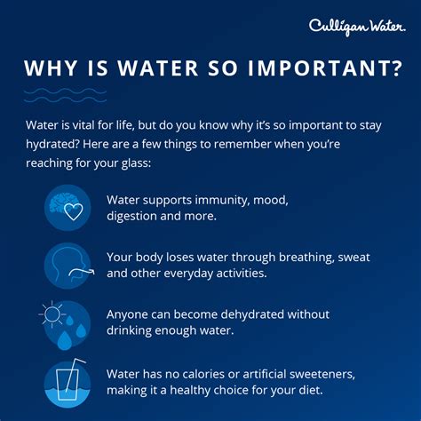 14 Easy Tips For Drinking More Water Culligan