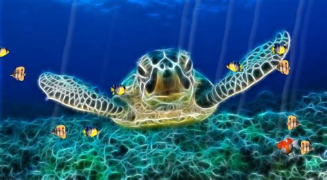 Ocean World Animated Wallpaper