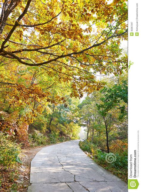 The Quiet Crook Path Autumnal Scenery Stock Image