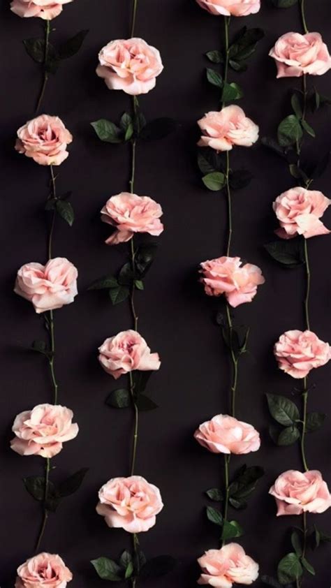 Available in a wide range of colors. Wallpaper Iphone Lock Screen Flowers Photos - Download Free Mock-up