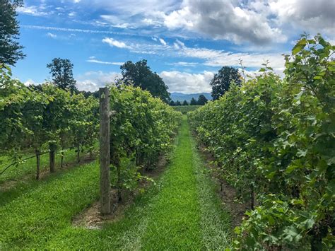 The Farmhouse At Veritas Romantic Getaway In Virginias Wine Country
