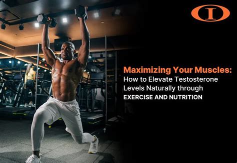 Maximizing Your Muscles How To Boost Testosterone Levels Naturally Through Exercise And