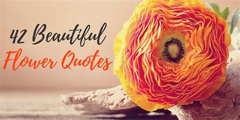 42 Beautiful Flower Quotes Word Porn Quotes Love Quotes