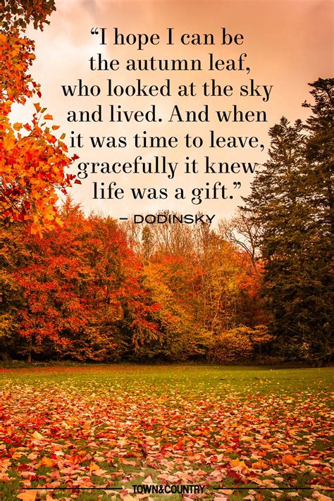 Fall Love Quotes