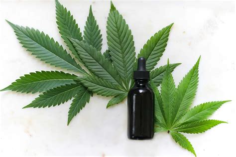 Tinctures 101 A Complete Guide To Cannabis Tinctures