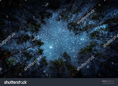 Beautiful Night Sky The Milky Way And The Trees Elements