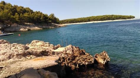Gradska Beach Primošten Dalmatia Šibenik Croatia