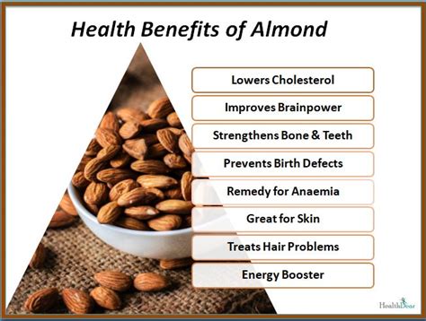 Health Benefits Of Almond — Steemit Health Benefits Of Almonds