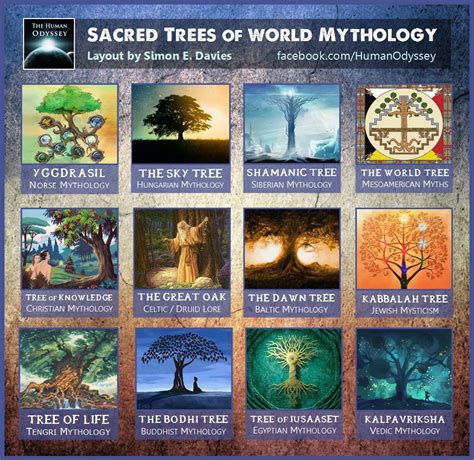 12 árboles Sagrados De La Mitología Mundial Y Su Significado Ancient Code