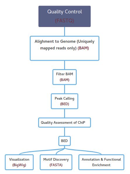 Chip uses antibodies to isolate a protein or modification of interest, along with the dna to which it is bound (figure 5). Genome-Wide Profiling of Histone Modification with Chip ...