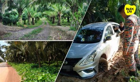 Ladang kelapa sawit juga tidak terlepas daripada serangan serangga seperti kumbang badak dan penyakit ganoderma yang menjadi ancaman kepada industri. Kerana Aplikasi WAZE, Wanita Ini Tersesat Dalam Kelapa ...