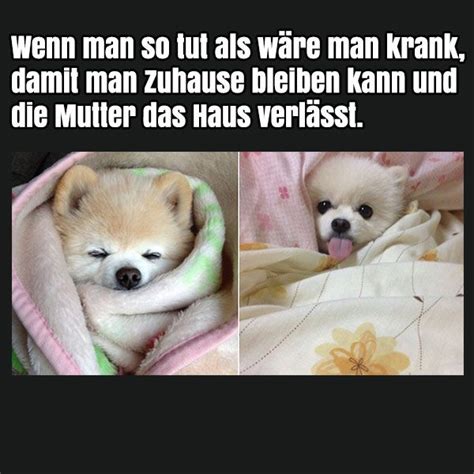 Pin von diesereinespruch.de auf Lustige Bilder für, Whats ... Ostergrusskarten und osterspruche gaidaphotos fotos und bilder.