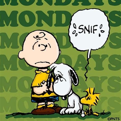 Peanuts On Twitter Snoopy Quotes Charlie Brown And Snoopy Snoopy Love