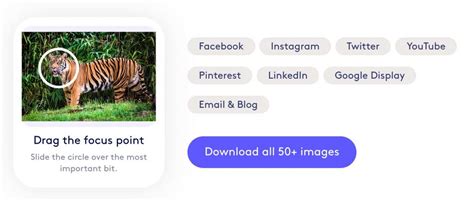 An Image Resizer For All Your Social Media Channels And Its Free
