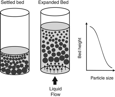 Mathematical Modelling Of Expanded Bed Adsorption A Perspective On In