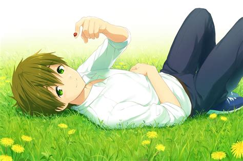 Tachibana Makoto Free Lying Down Shoujo Grass Anime Background