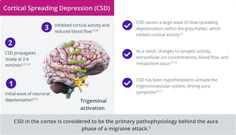 Pathophysiology Of Migraine Science Of Migraine