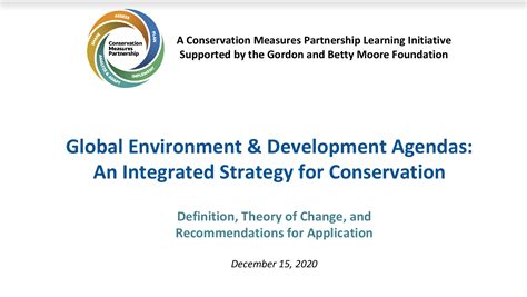 Global Environment And Development Agendas An Integrated Strategy For