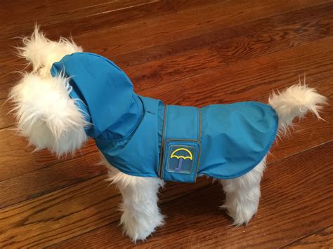 Klippo Splashing Whale Dog Raincoat | Dog raincoat, Small dog coats, Raincoat