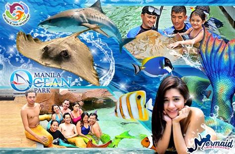 88 Off Manila Ocean Park`s Mermaid Swim And Sharks And Rays Promo