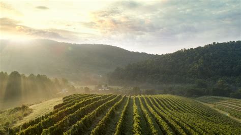 Welcome To Virginia Wine Country Virginia Wine Blog