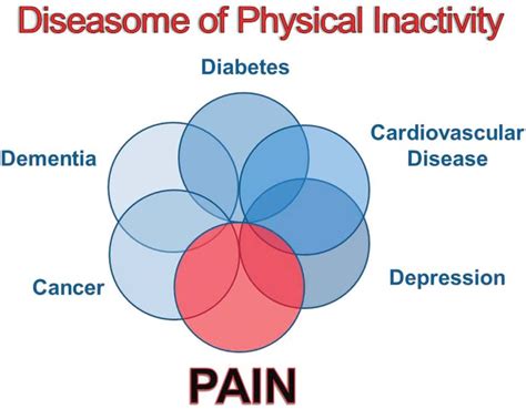 Diagram Representing The Diseasome Of Physical Inactivity Physical
