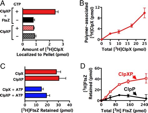 Clpxp Protease Degrades The Cytoskeletal Protein Ftsz And Modulates