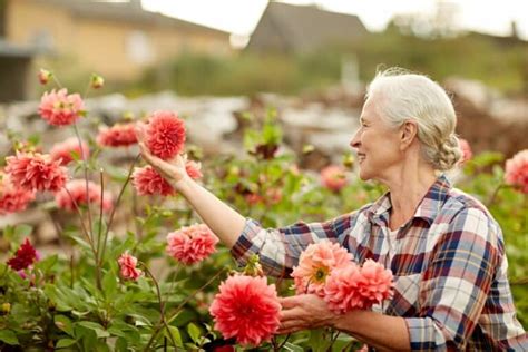 Easy Gardening For Seniors Care Resolutions Inc