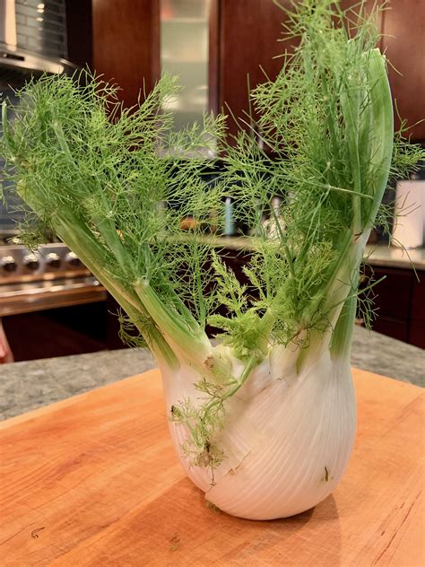 7 Benefits Of Eating Fennel In Midlife