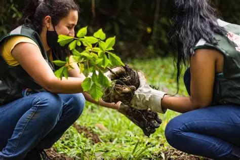 Gestores Fortalecerán La Educación Ambiental En El Valle Del Cauca