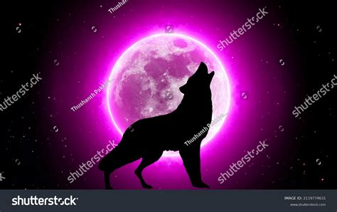 Wolf Howling Front Moon Night Stock Illustration 2119774631 Shutterstock