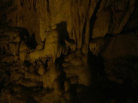 Travel Reviews And Information Mammoth Cave Kentucky