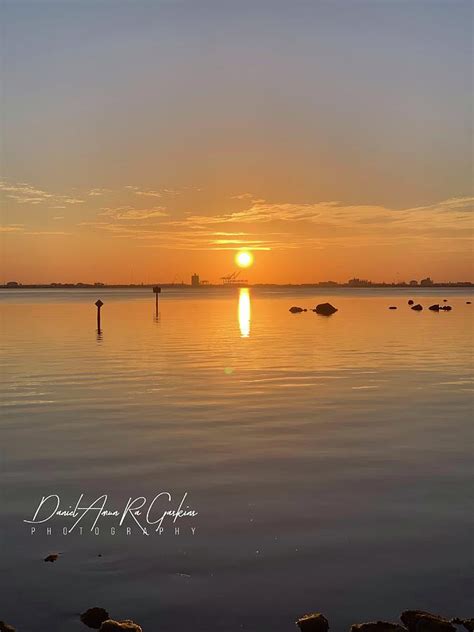 Sunrise In Tampa Photograph By Daniel Gaskins Fine Art America