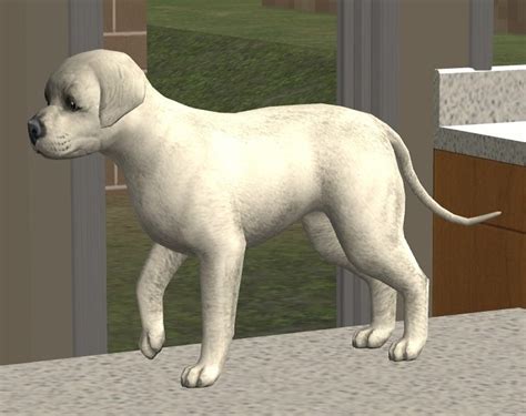 Mod The Sims 3 Pitbull Pups