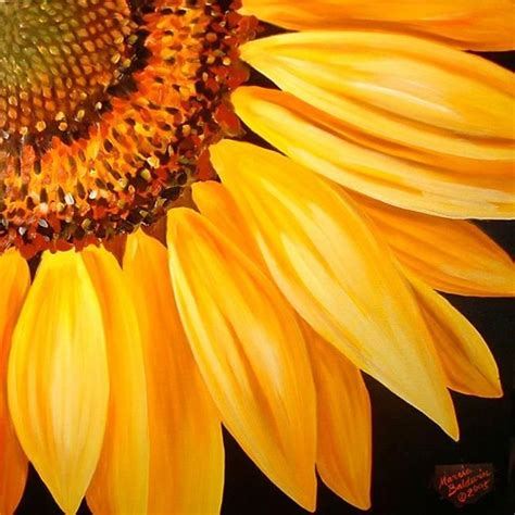 Sunflower No9 By Marcia Baldwin From Flower Of The Month Sunflowers