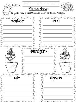38 best Basic Needs of Plants images on Pinterest | Teaching science