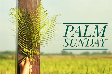Palm Sunday Quote Happy Palm Sunday Fern Or Palm Leaf In Hand On