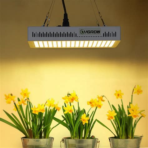 Lights Lighting Cf Grow W Cob Led Grow Light Full Spectrum Indoor