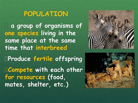 Ppt Biosphere Powerpoint Presentation Free Download Id9072557