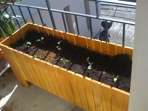Growing Vegetables On A Balcony And The City Growing Vegetables