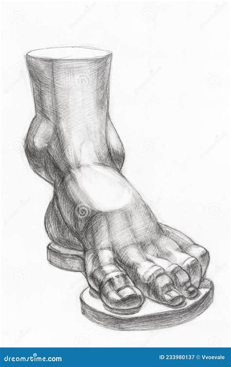 Hand Drawn Study Of Plaster Cast Of Male Foot Stock Illustration