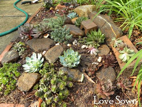 Whether you are looking to plant a single succulent or to create a. Rock And Succulent Garden Ideas Photograph | Rock and bricks