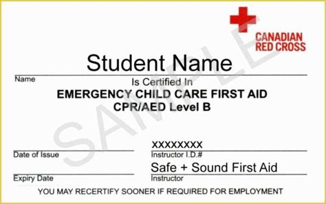 Fake Printable Cpr Certification Card Get Your Hands On Amazing Free