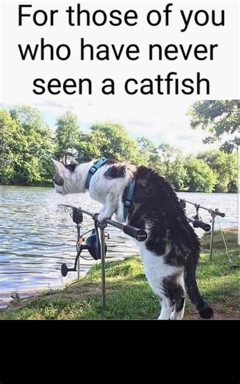 Have You Ever Seen A Catfish Meme Guy