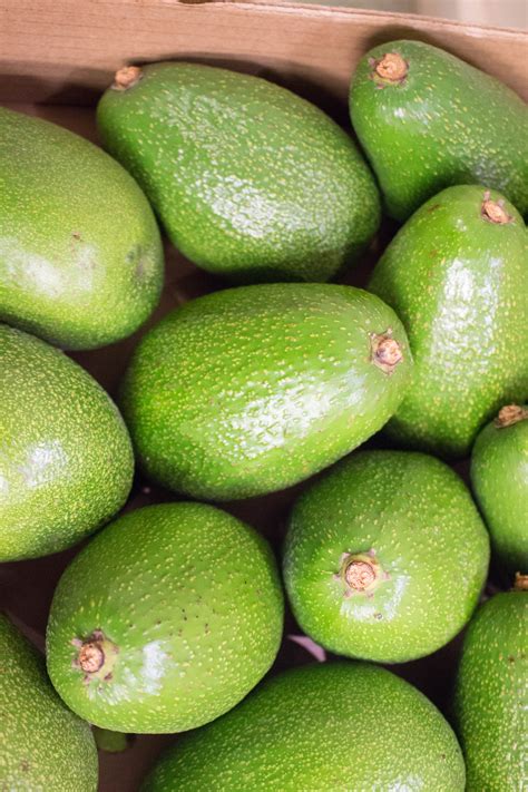 Their potential health benefits include improving digestion, decreasing risk of depression, and protection against cancer. Avocado Fuerte (each) | RossCo