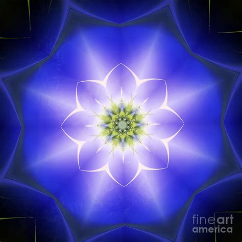 Magic Fractal Flower Digital Art By Odon Czintos