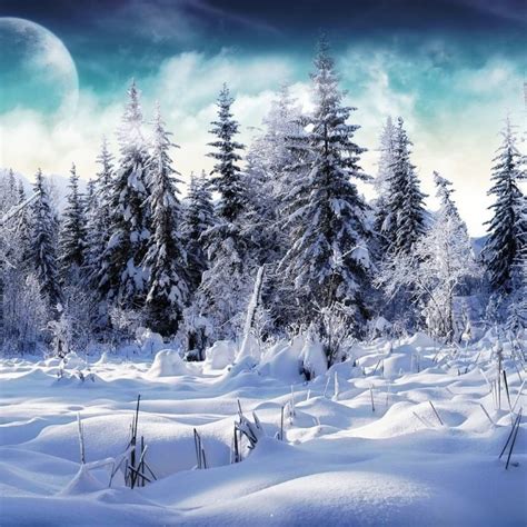 10 Top Hd Snow Wallpapers 1080p Full Hd 1920×1080 For Pc Background 2020