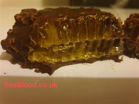 Raw Honeycomb Dipped In Chocolate Choco Comb ~200grams Ebay