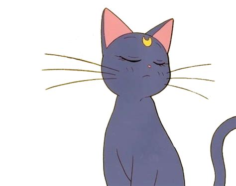 Sailor Moon Luna Chat Render Png Personnage De Sailor Moon Sailor Moon Manga Sailor Winder Folks