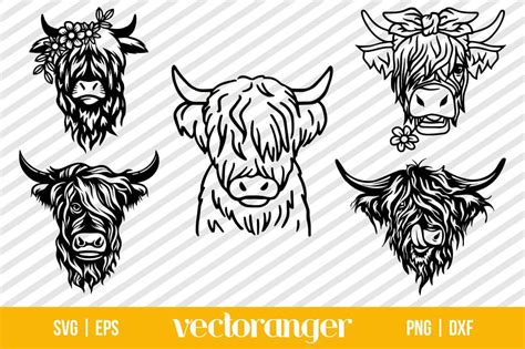 Highland Cow SVG Bundle | Vectoranger